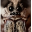 Oči pavúka Tarantula