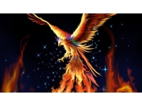 Phoenix fugl