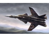 苏-47“Berkut”