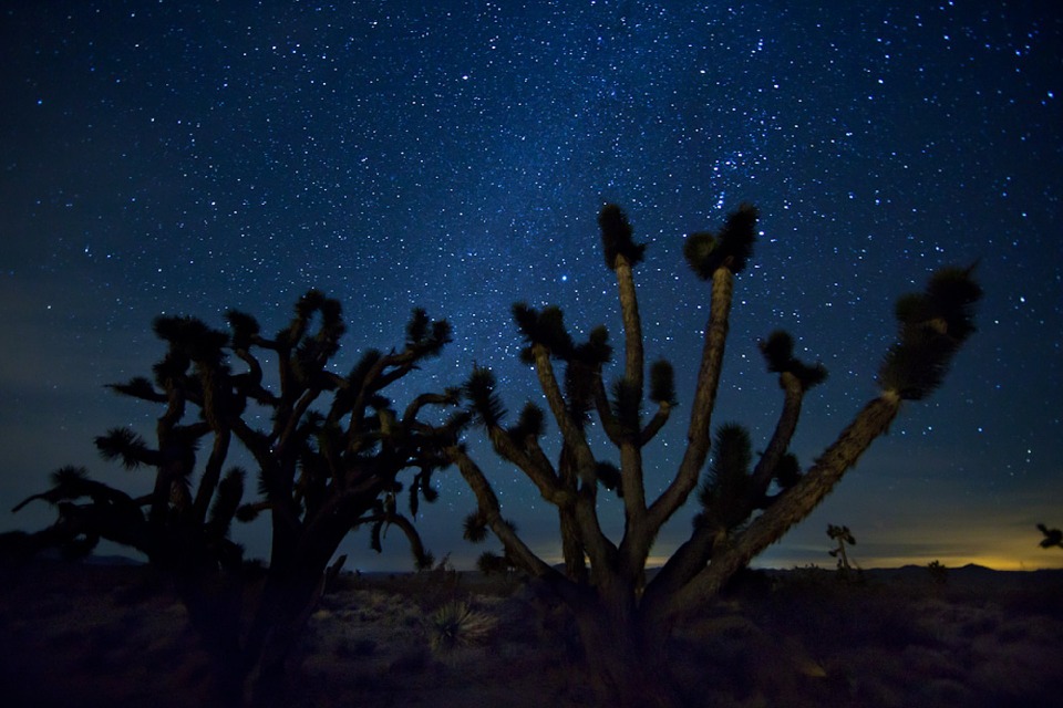 Starry sky in the desert of mexico