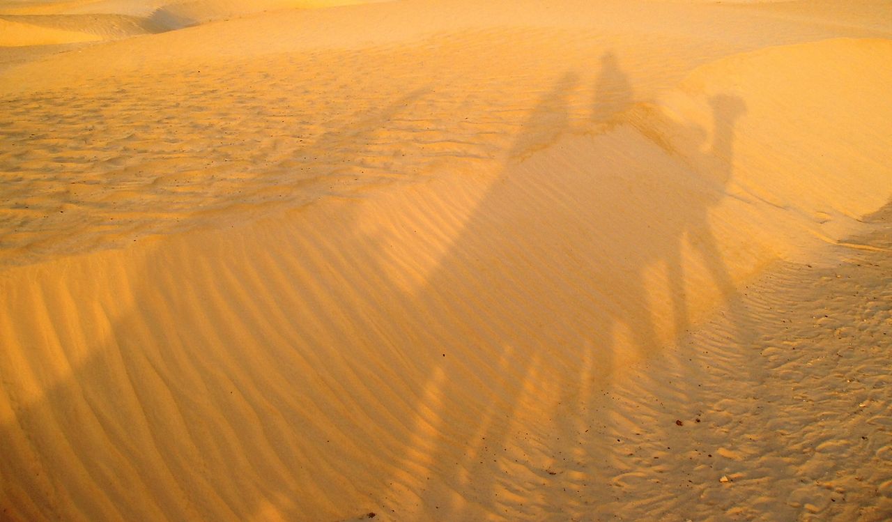 撒哈拉沙漠在突尼斯
