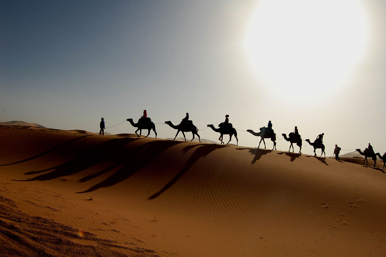Caravan nel deserto del Sahara