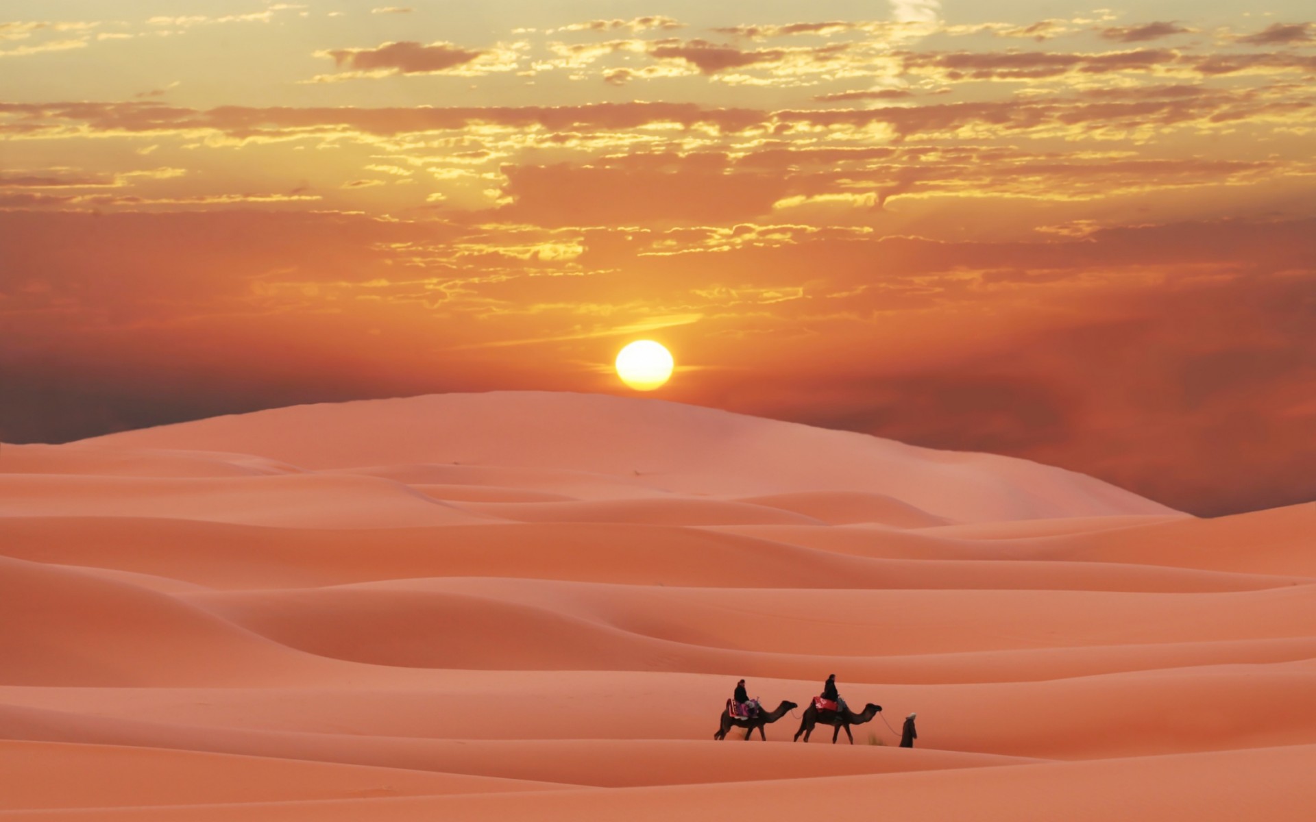 Caravan yn 'e Sahara Desert