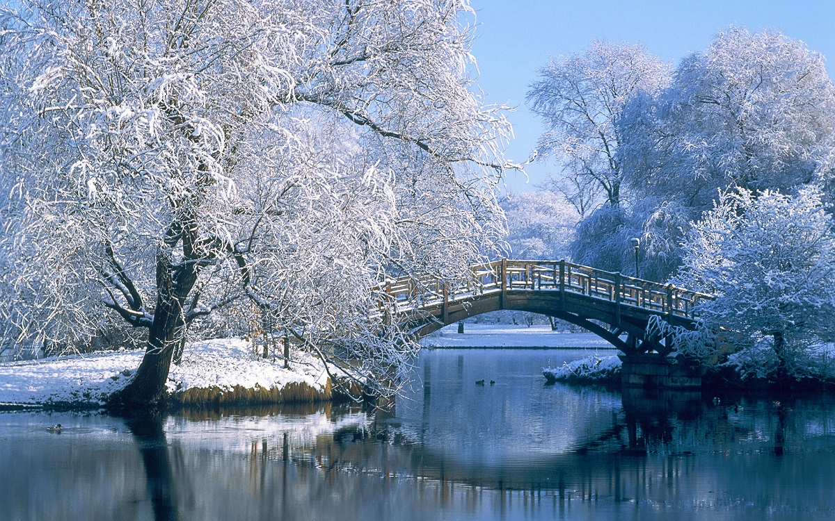 Beautiful winter photo