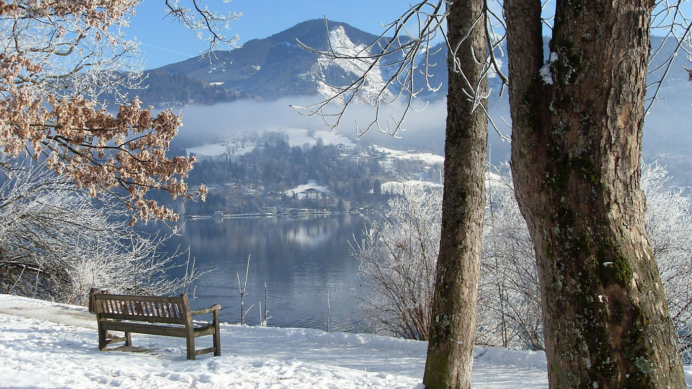 Park in winter by the mountain lake