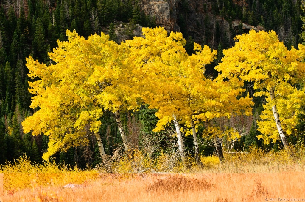 Arany ősz a hegyekben