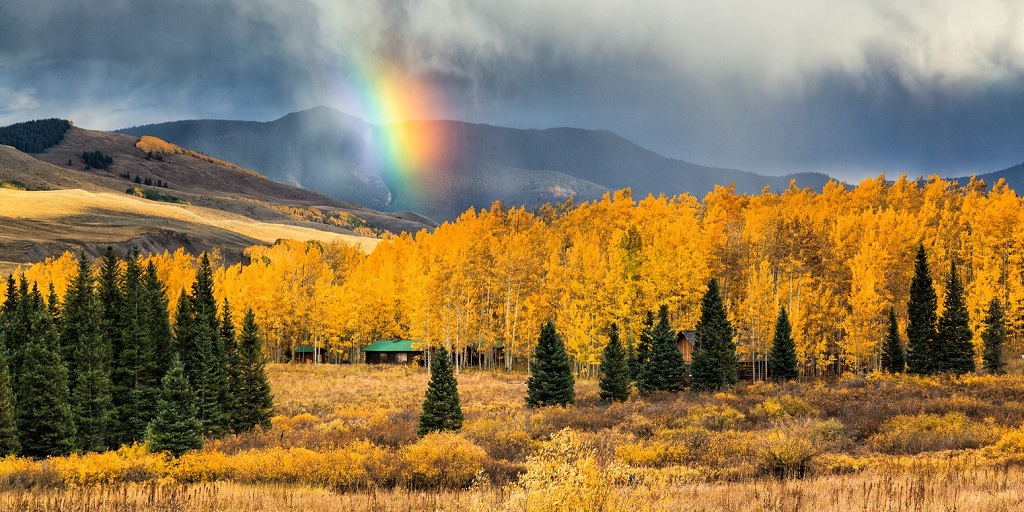 黄金の秋の山々、森と虹