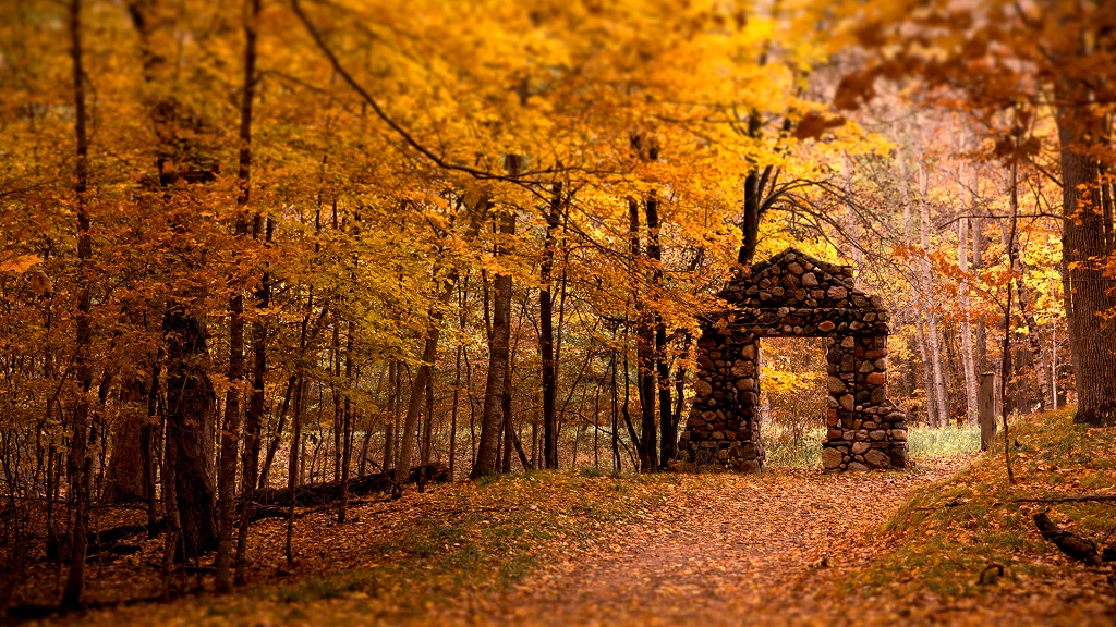 Golden autumn abandoned park