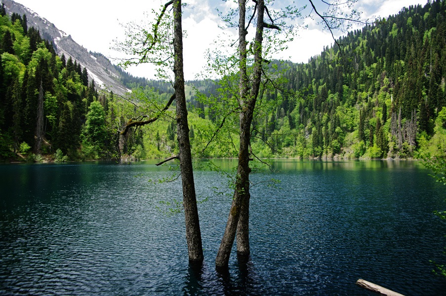 Sjön Ritsa
