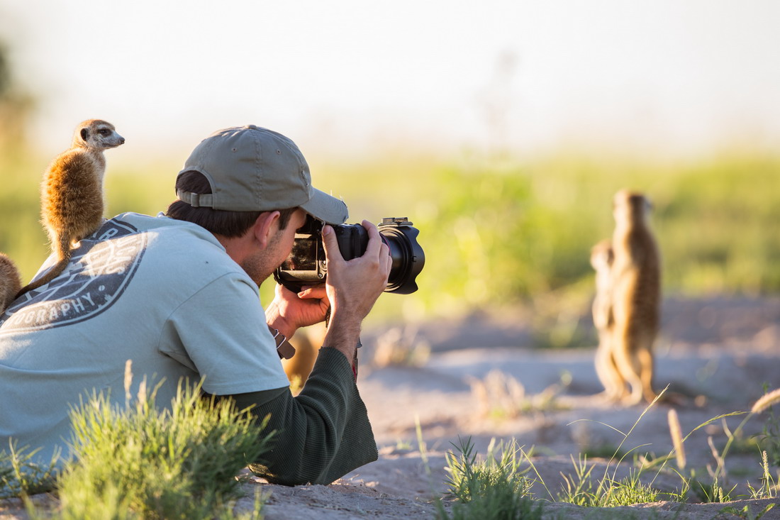 Photographers et meerkats