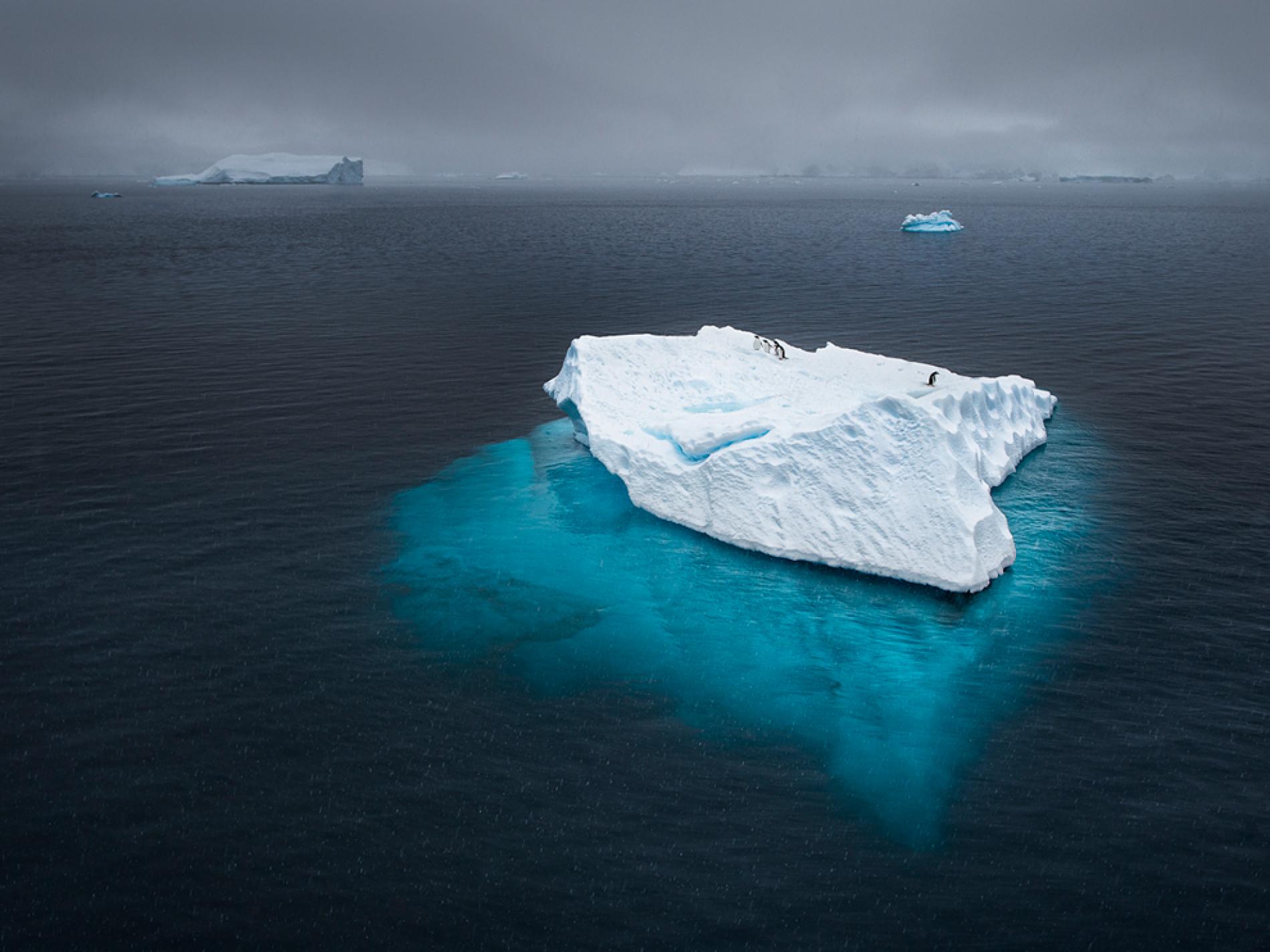 Penguins air iceberg