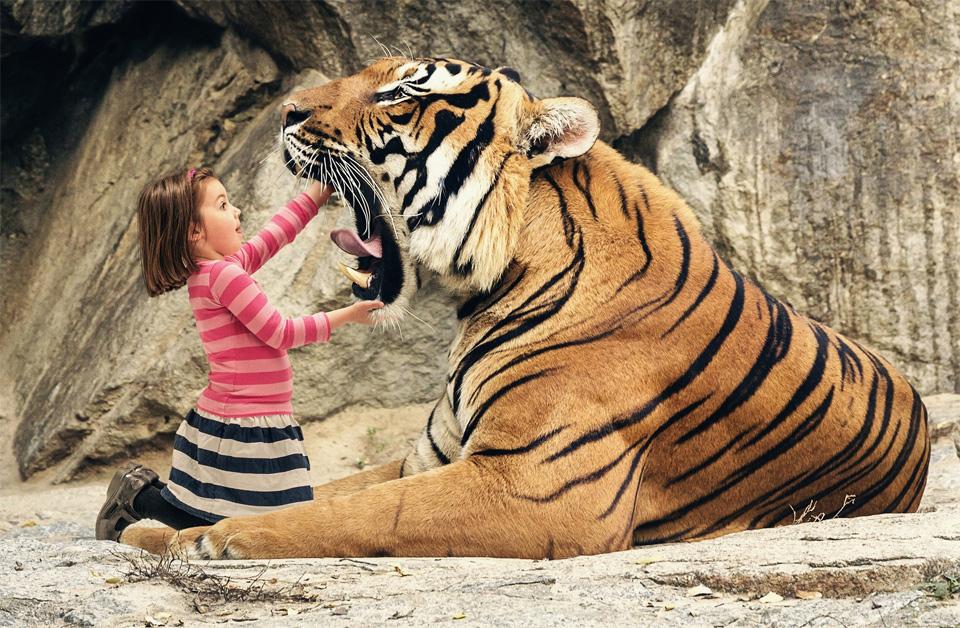 Tiger in dekle