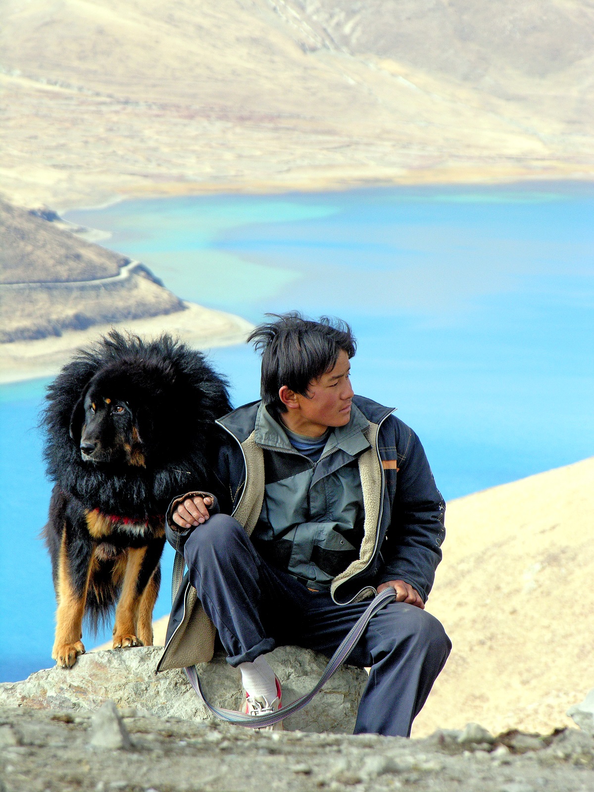 Tibetaanske Mastiff yn Tibet