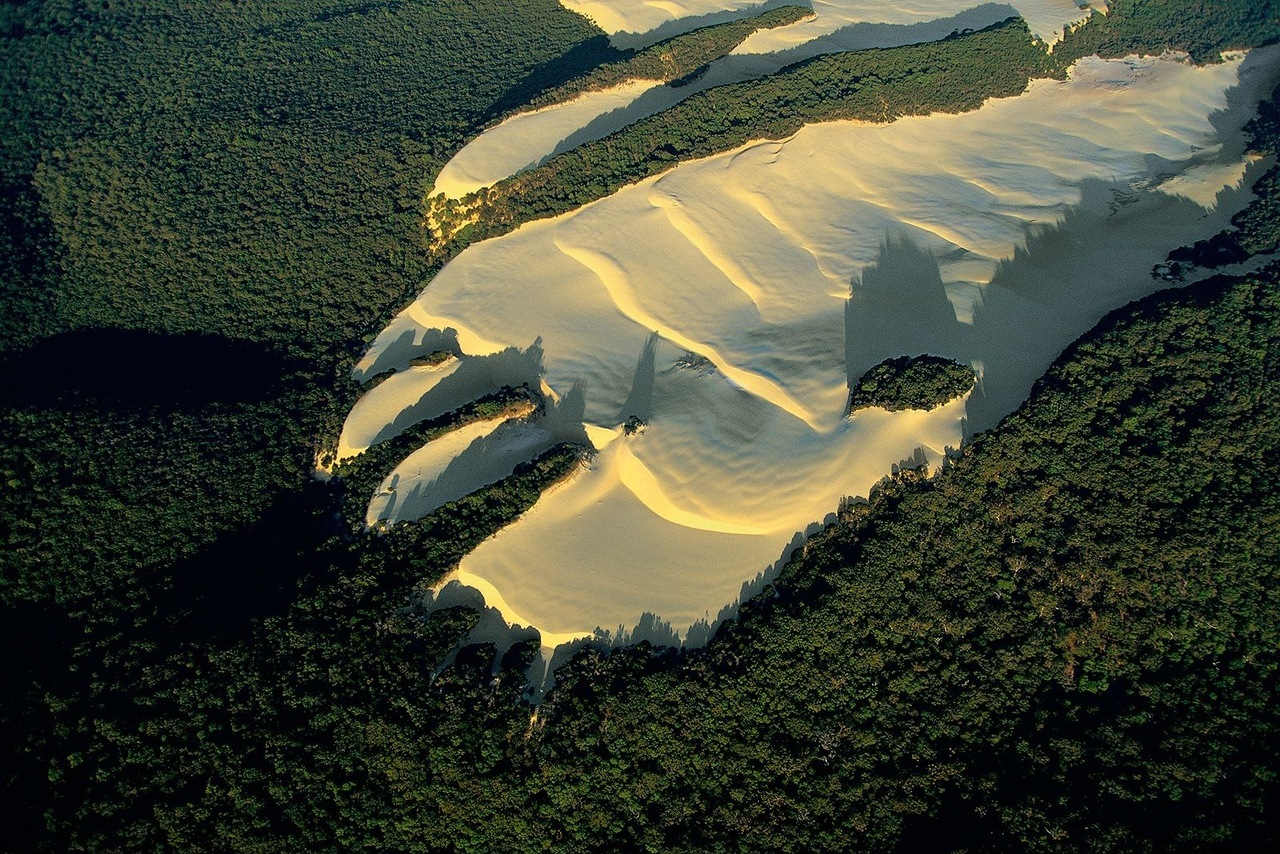 Fraser Island non est vere malum excelsa silvarum