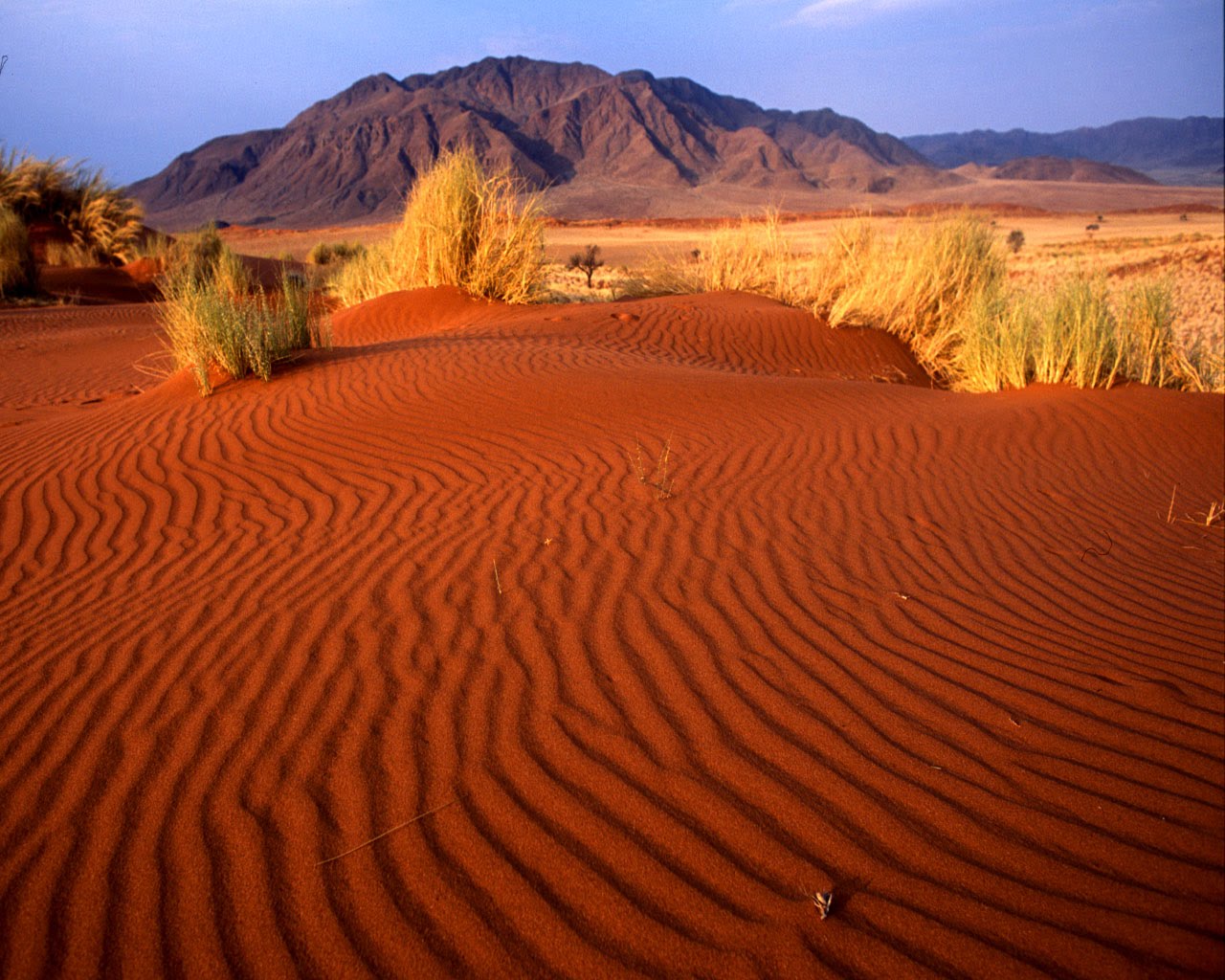 Namib Wüst