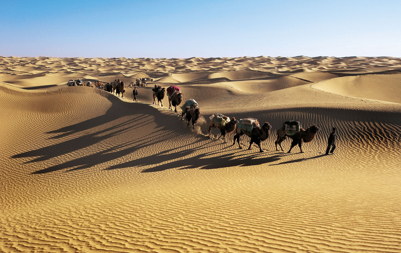 Caravan sa mga camello sa disyerto sa Takla Makan