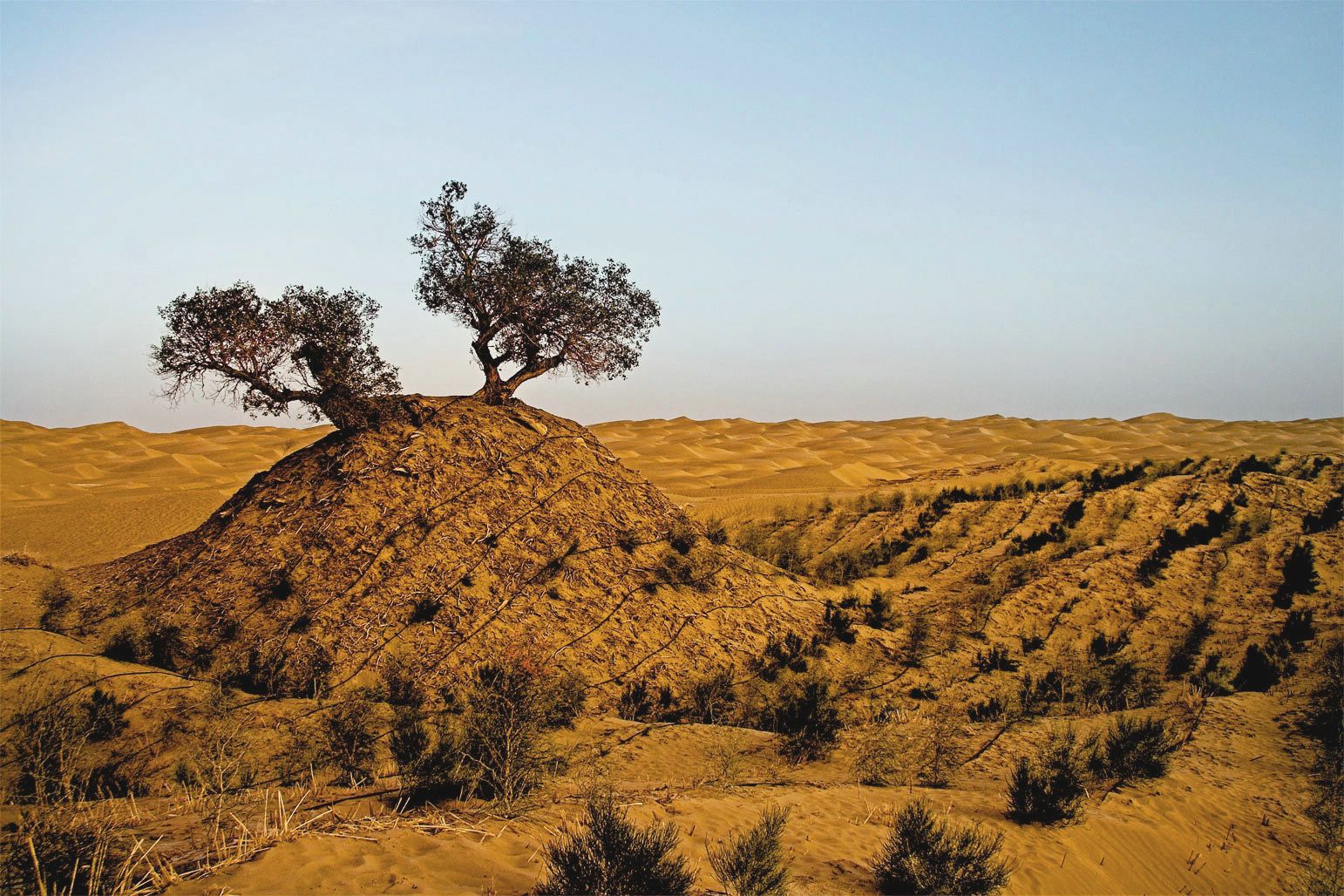 Takla Makan Desert Landscape- ը