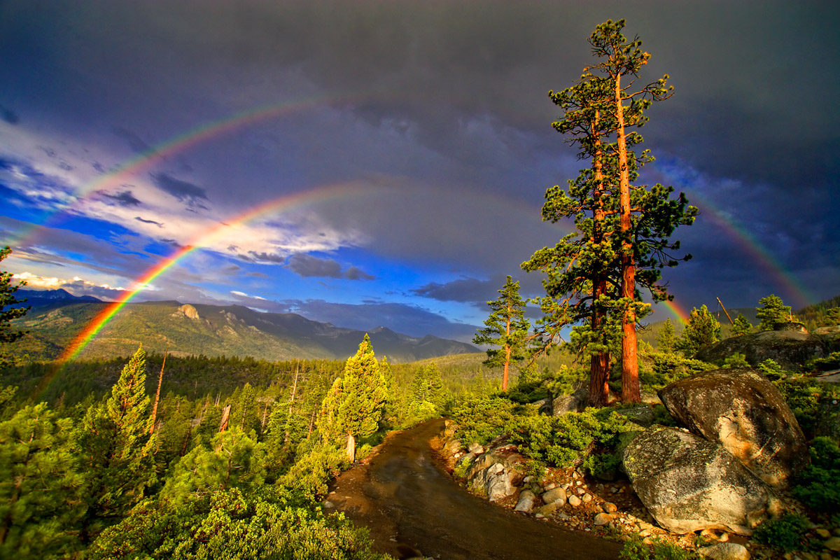 Foto bonita: arco-íris duplo sobre a floresta
