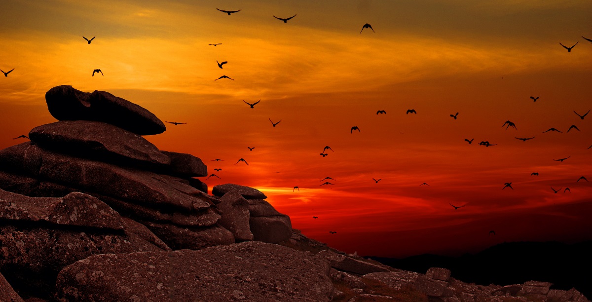 Aušros kalnuose paukščiai skrenda kylančios saulės spinduliuose