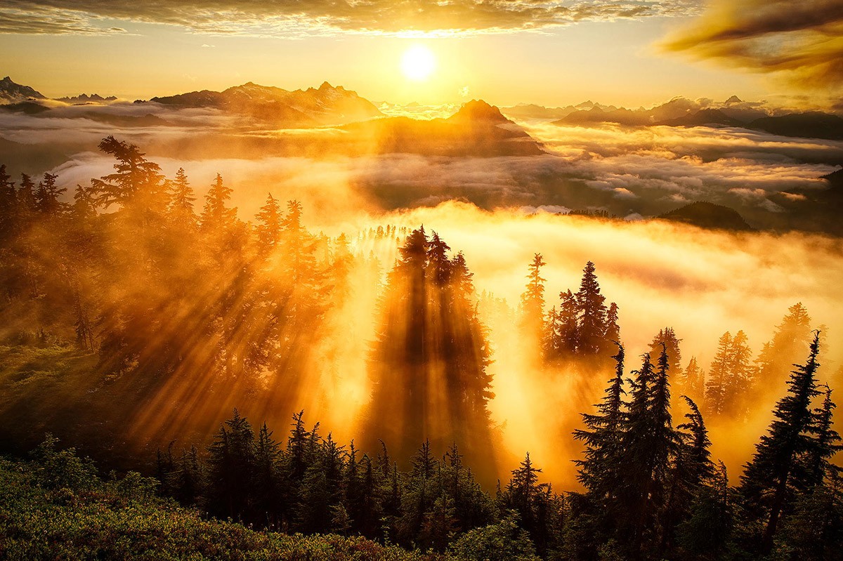 Foto del amanecer sobre el bosque de montaña.