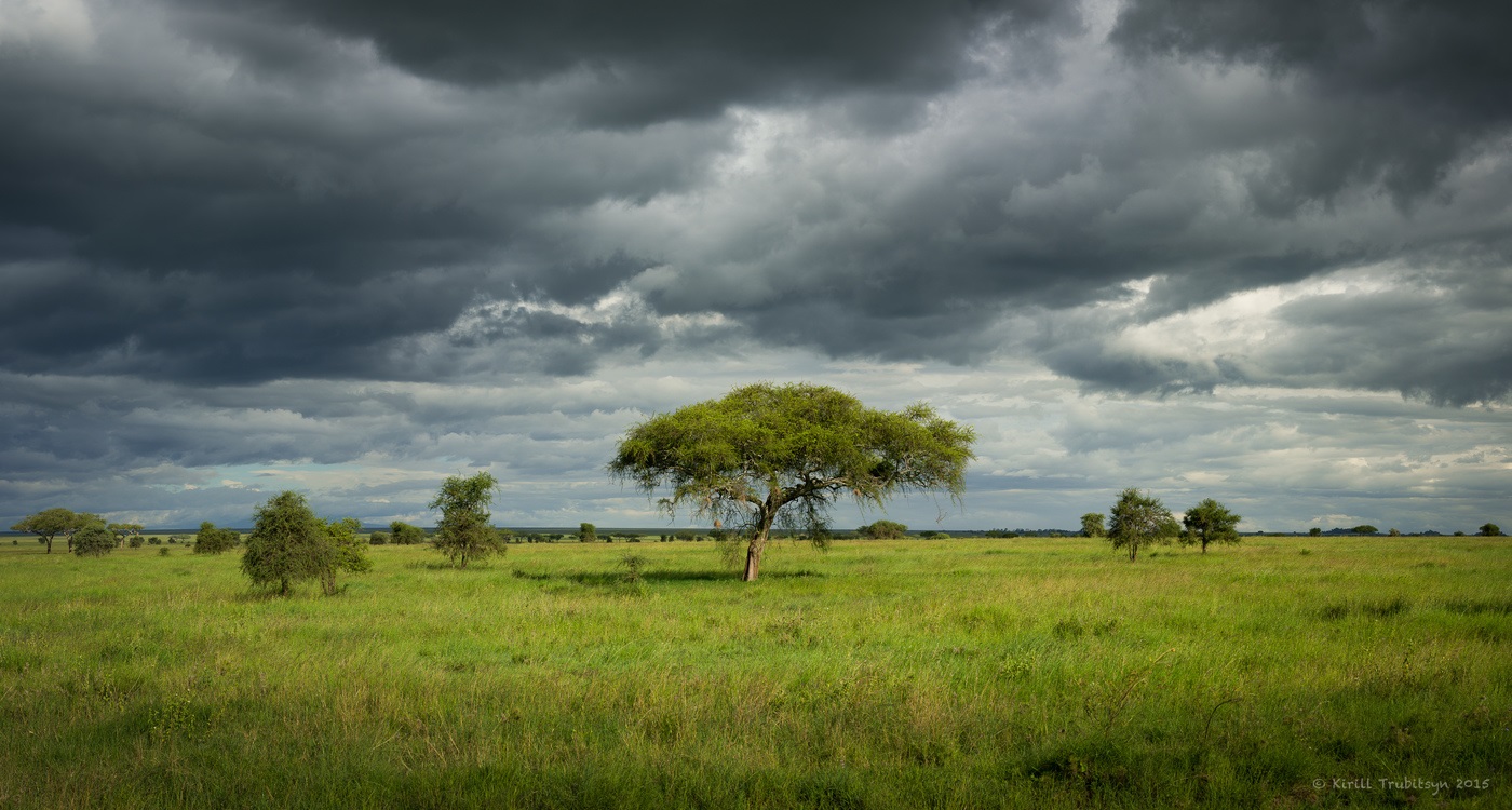 Nacia Parko Serengeti