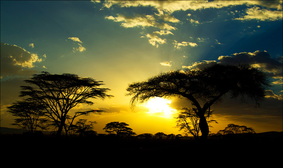 Sunset hauv Serengeti