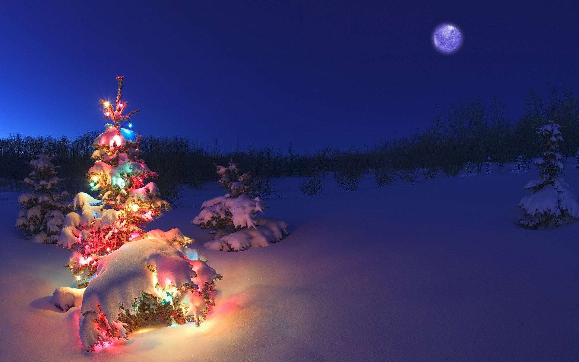 Fotot e pemës së Krishtlindjes