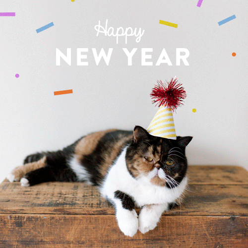 GIF画像：猫と新年！