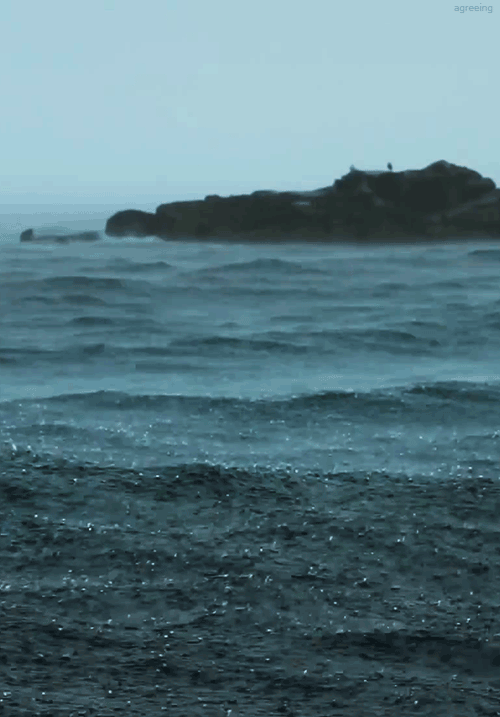 Photo GIF: pluie sur la mer