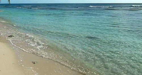 GIF слика: сонце, море, плажа