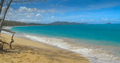 GIF picture: sea and beach
