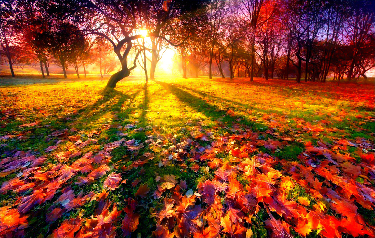 Musim gugur yang indah: matahari terbenam musim luruh