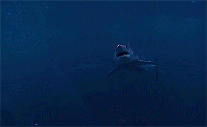 GIF картина: акула уста