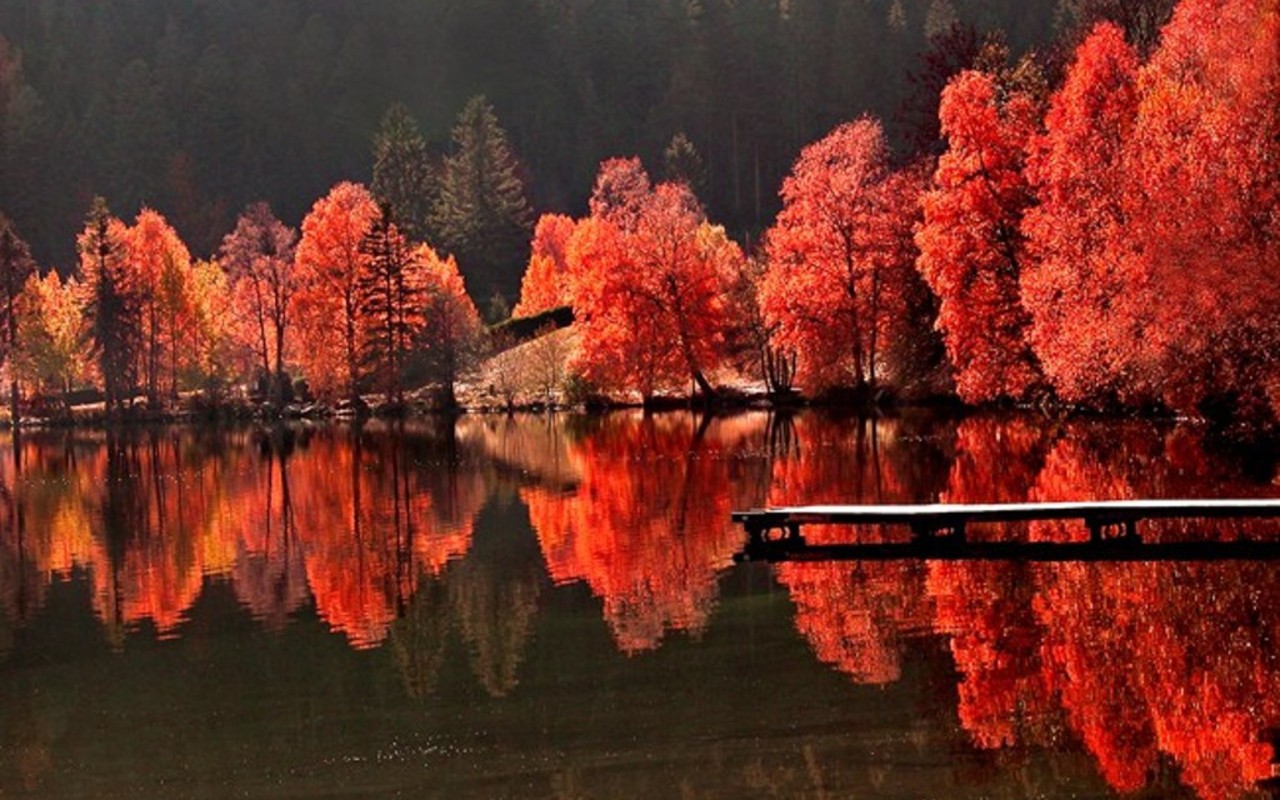 ฤดูใบไม้ร่วงสีแดงบนทะเลสาบ