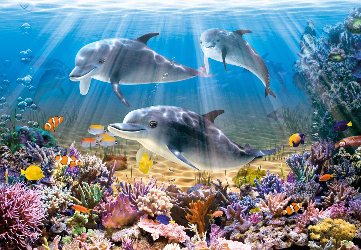 תמונה של דולפינים בים