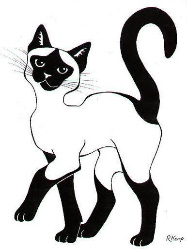 Черно-бял чертеж на котка