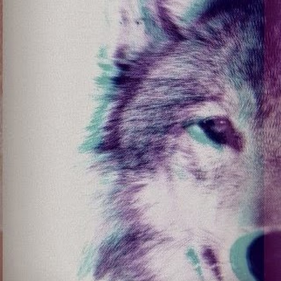 Gambar serigala di avu