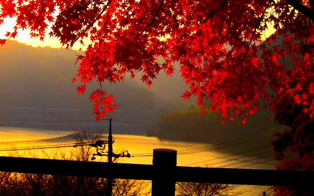 црвена јесен