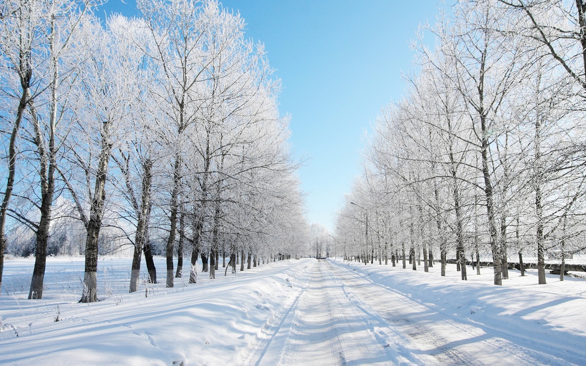 Foto musim sejuk: jalan musim sejuk