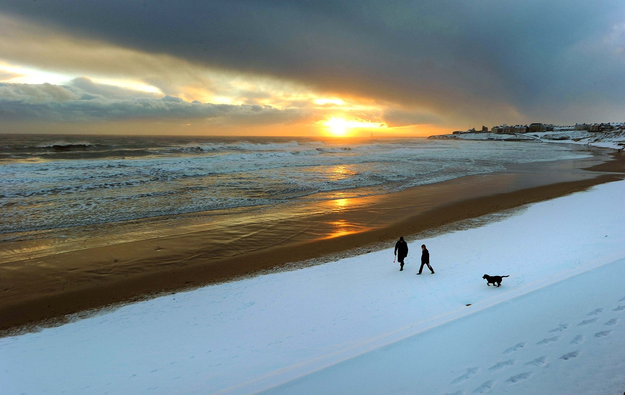 Fotos de invierno: costa del océano en invierno.