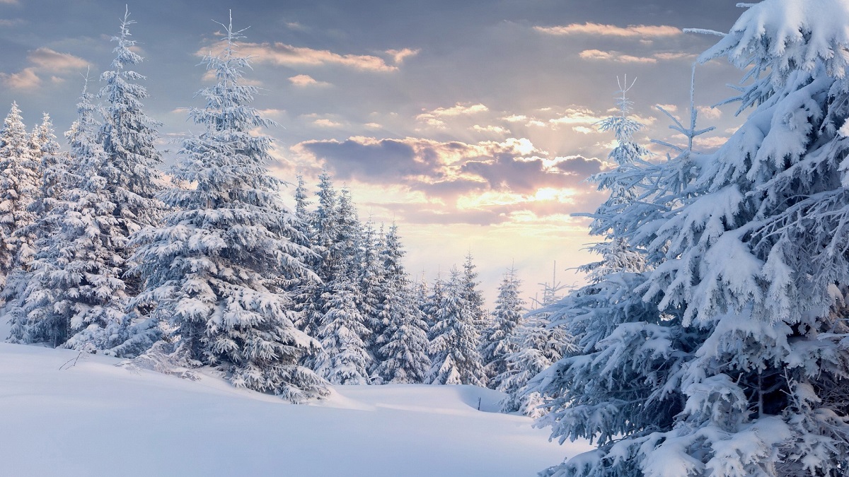 Príroda fotografuje v zime