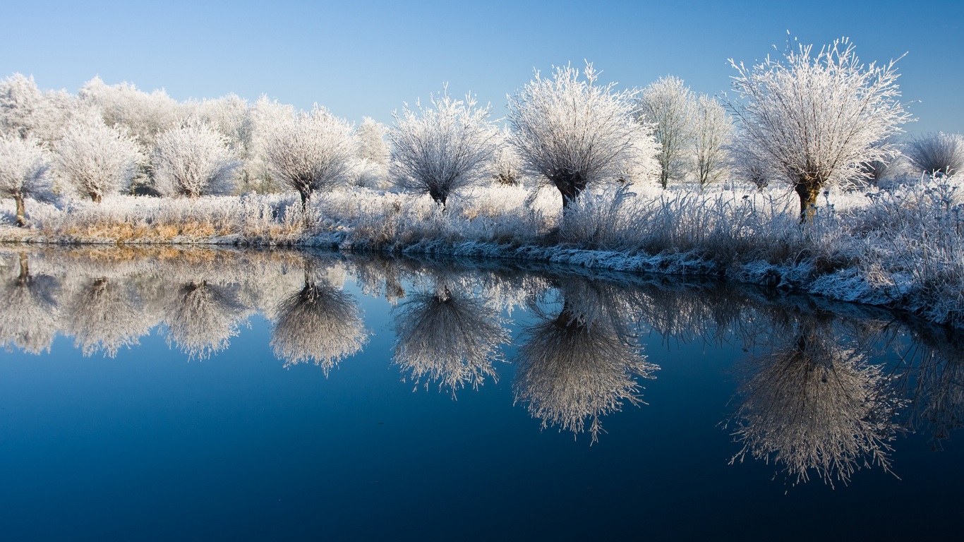 Photos of winter nature: lakeside