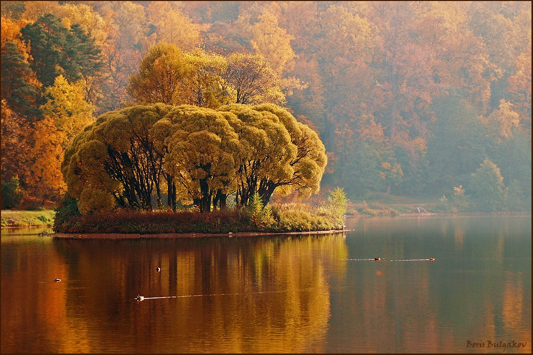 טבע הסתיו: lakeside