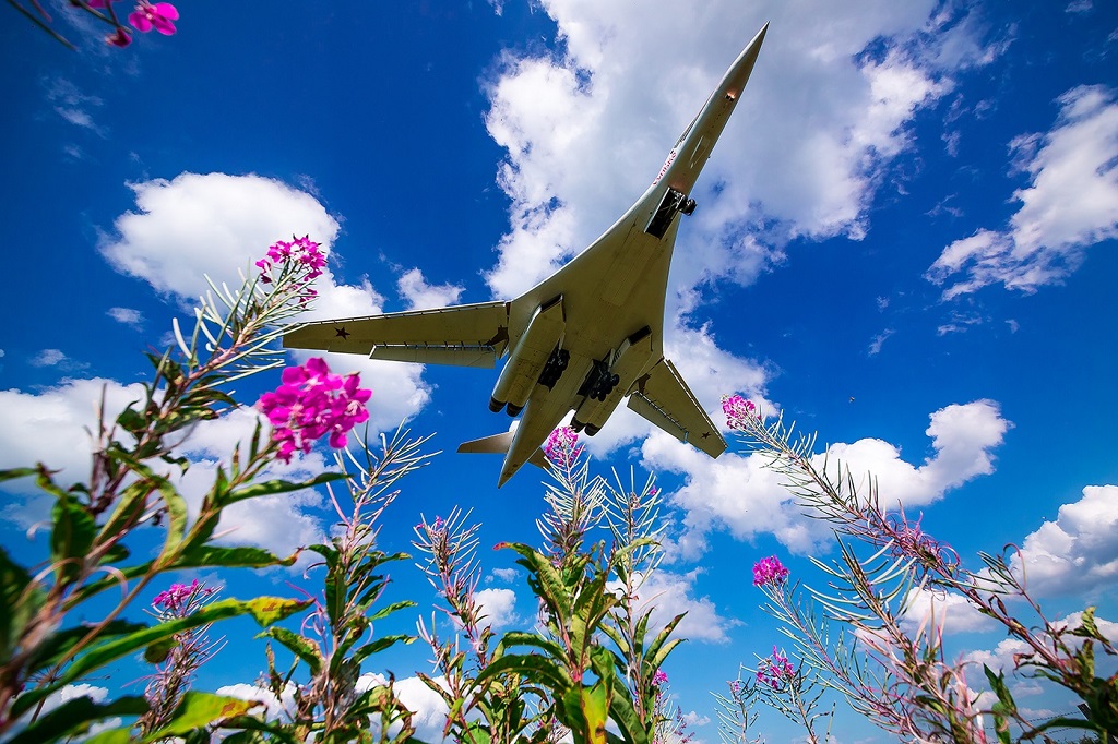 Aviadilo Tu-160 "Blanka Cigno" kaj Ivan-teo