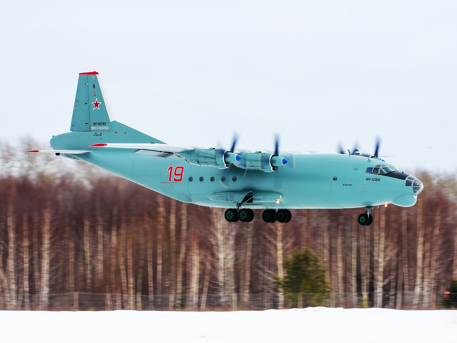An-12BK Rossiya armiyasining rasmiy