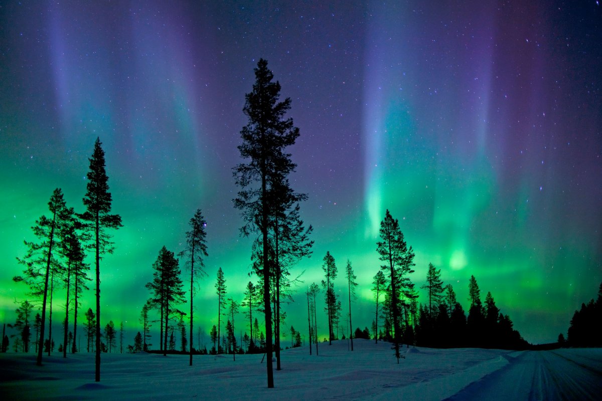 Severné svetlá nad lesom v blízkosti švédskeho mesta Kiruna