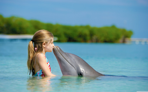 Foto delfína a dieťa