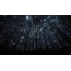 Starry sky: πανοραμική φωτογραφία στο δάσος