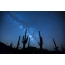 Nuotrauka iš Meksikos: žvaigždėtas dangus virš kaktusų
