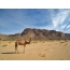 La foto fue tomada en el Saharay, en el área de la meseta de Tassilin-Adjer, en el sureste de Argelia.
